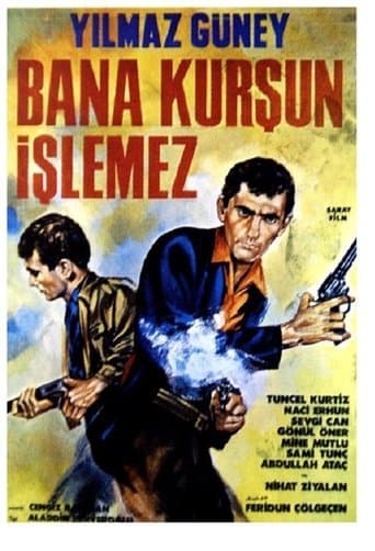 Movie poster for Bullets Won't Touch Me