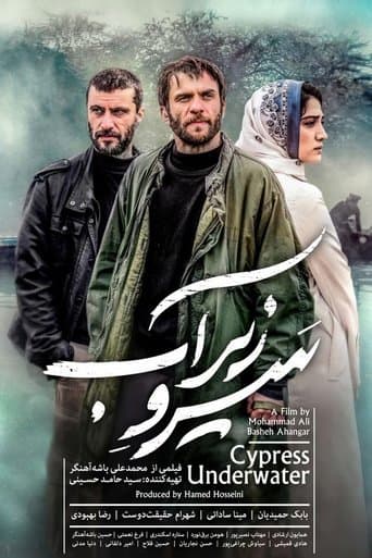 Movie poster for Cypress Under Water