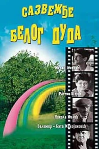 Movie poster for The Constellation of White Mulberry Tree