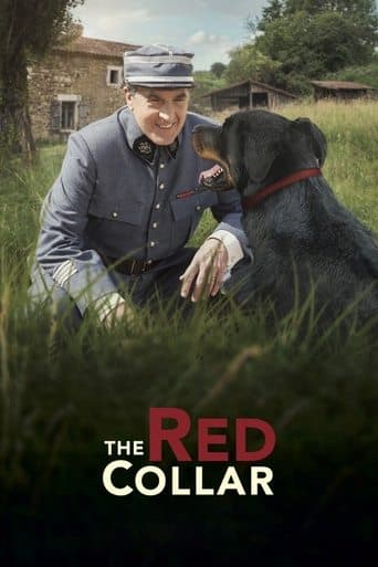 Movie poster for The Red Collar