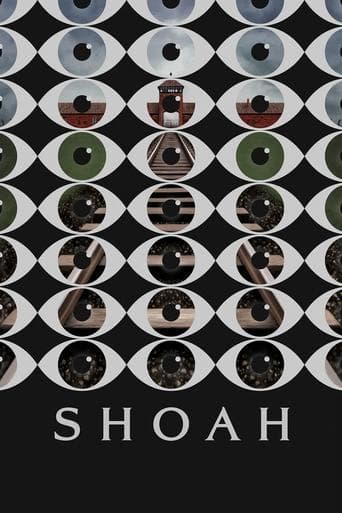 Movie poster for Shoah