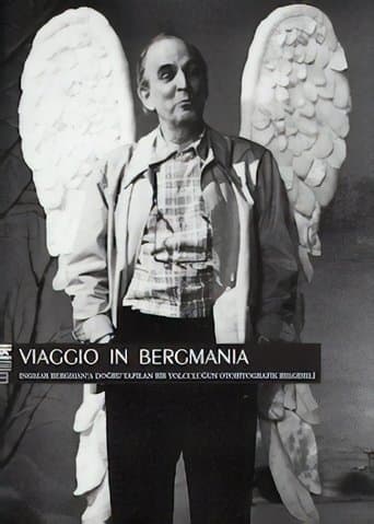 Movie poster for Viaggio in Bergmania
