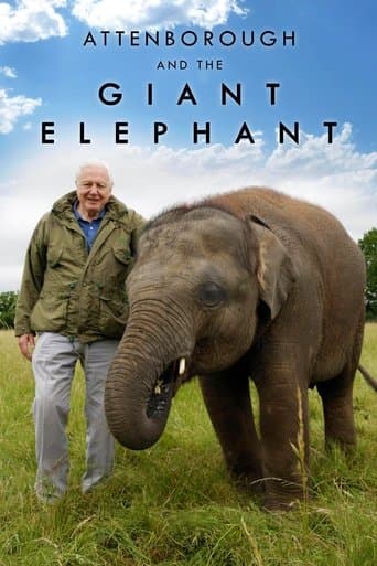 Movie poster for Attenborough and the Giant Elephant