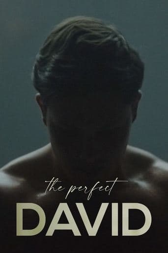 Movie poster for The Perfect David