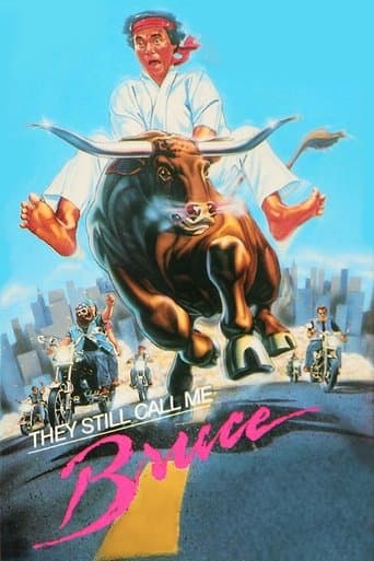 Movie poster for They Still Call Me Bruce