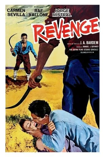 Movie poster for Revenge
