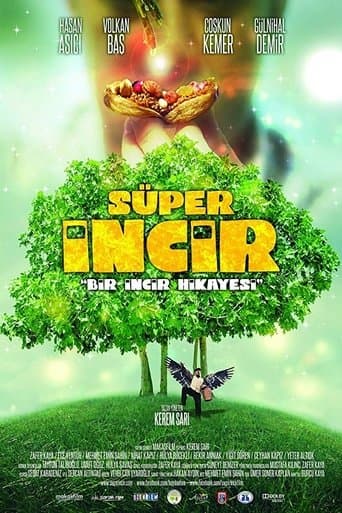 Movie poster for Super Fig