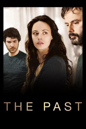 Movie poster for The Past