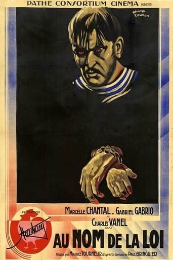 Movie poster for In the Name of the Law