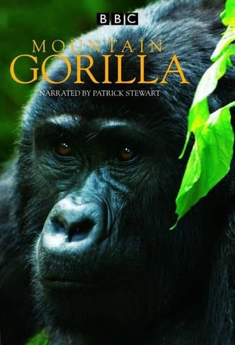 Movie poster for Mountain Gorilla