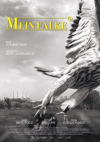 Movie poster for My Falcon