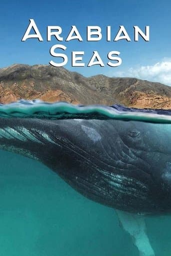 Movie poster for Arabian Seas