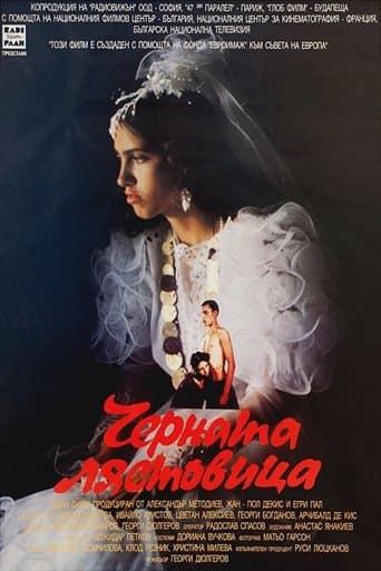 Movie poster for The Black Swallow