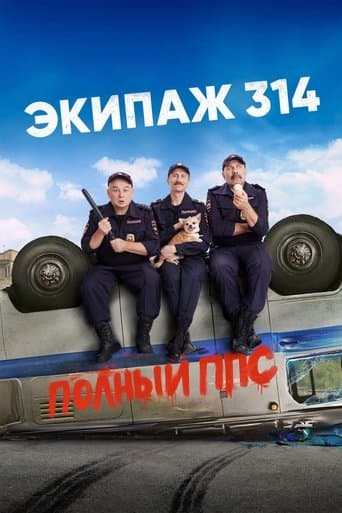 Movie poster for Crew 314