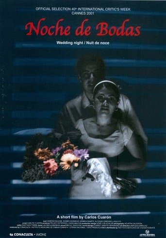 Movie poster for Wedding Night