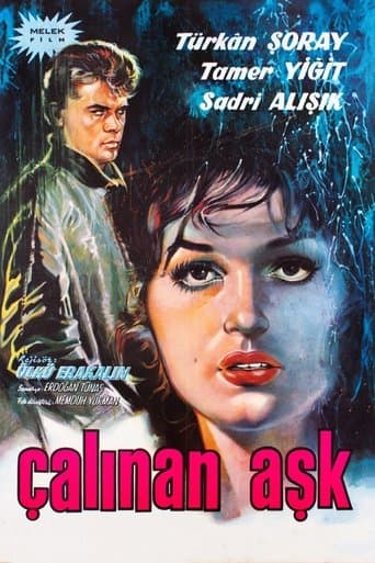 Movie poster for The Stolen Love