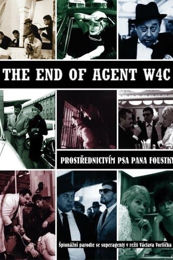 Movie poster for The End of Agent W4C