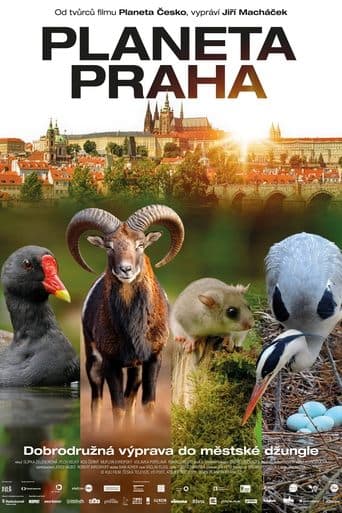 Movie poster for Wild Prague