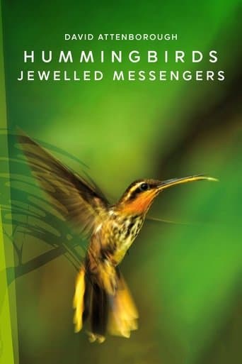 Movie poster for Hummingbirds: Jewelled Messengers