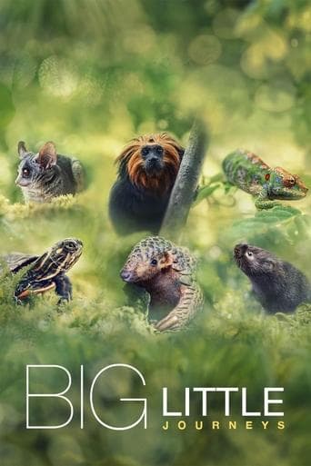 Movie poster for Big Little Journeys