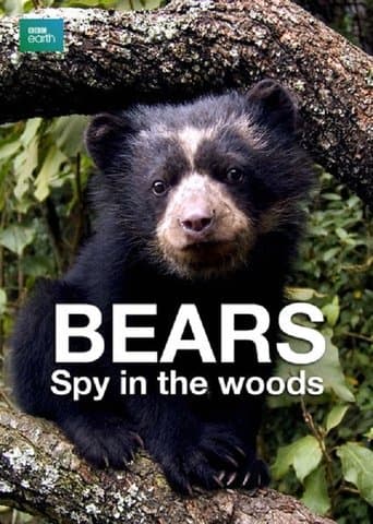 Movie poster for Bears: Spy in the Woods