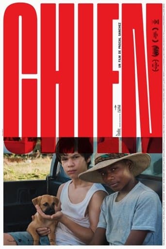 Movie poster for Dog