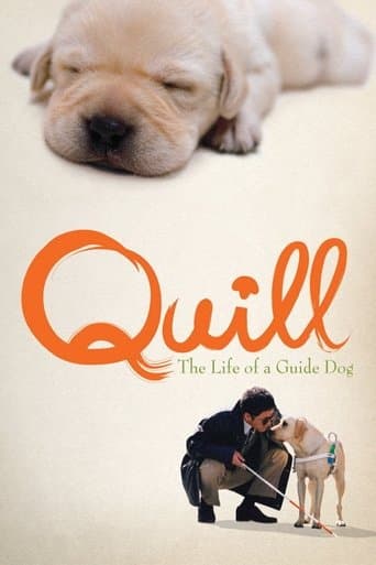 Movie poster for Quill: The Life of a Guide Dog