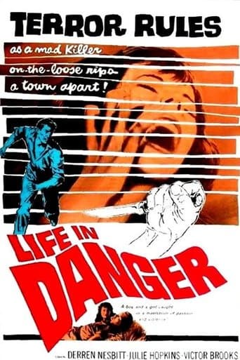 Movie poster for Life in Danger