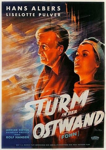 Movie poster for Föhn