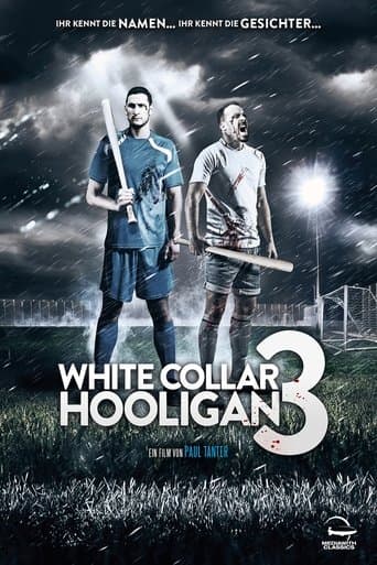 Movie poster for White Collar Hooligan 3