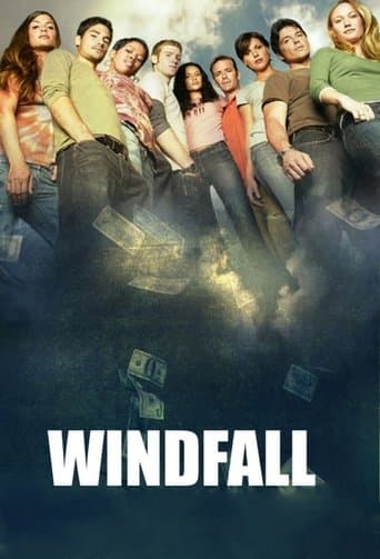 Movie poster for Windfall