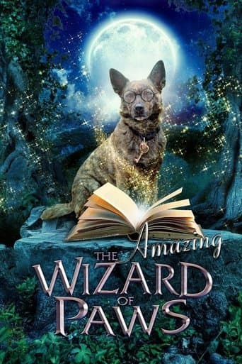 Movie poster for The Amazing Wizard of Paws