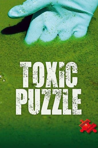 Movie poster for Toxic Puzzle