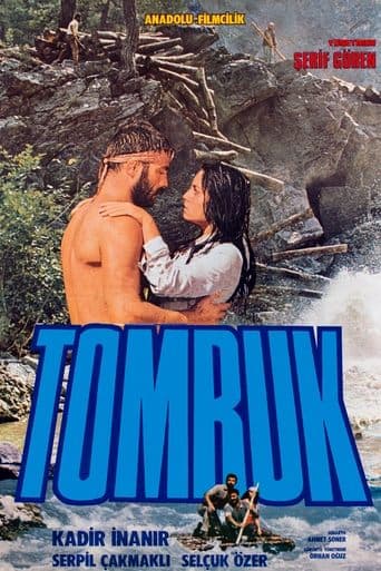 Movie poster for Tomruk