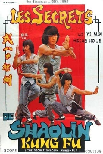 Movie poster for The Secret Shaolin Kung-Fu