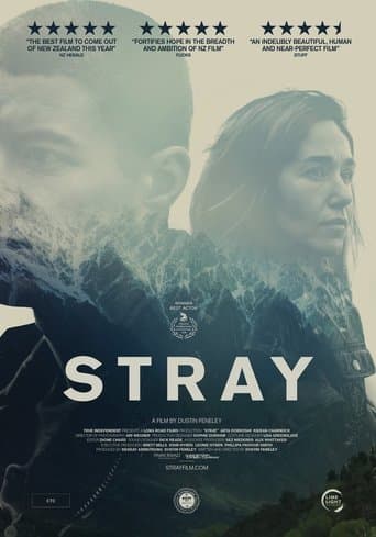 Movie poster for Stray