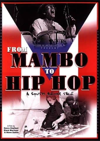 Movie poster for From Mambo to Hip Hop