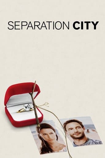 Movie poster for Separation City