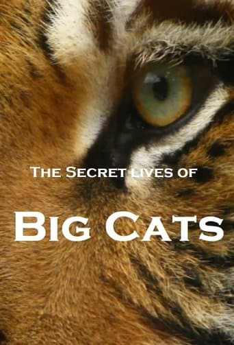 Movie poster for The Secret Lives Of Big Cats