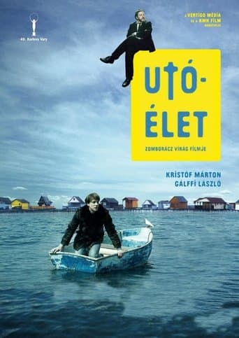 Movie poster for Afterlife