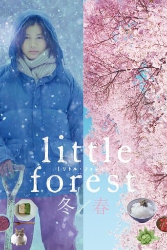 Movie poster for Little Forest: Winter/Spring