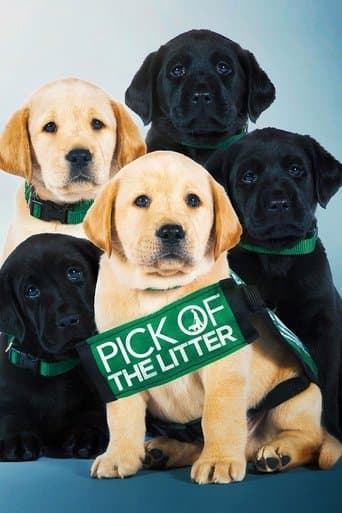 Movie poster for Pick of the Litter