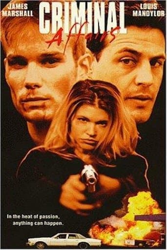 Movie poster for Criminal Affairs