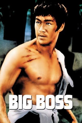 Movie poster for The Big Boss