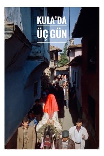 Movie poster for Kula'da Üç Gün