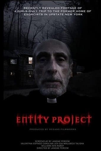 Movie poster for Entity Project