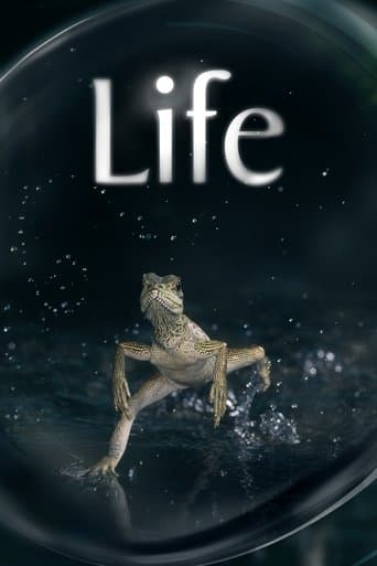 Movie poster for Life