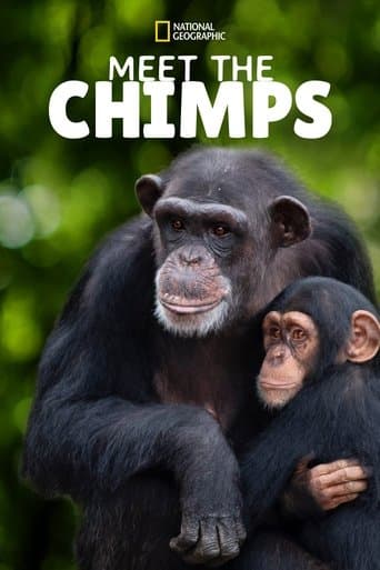 Movie poster for Meet the Chimps