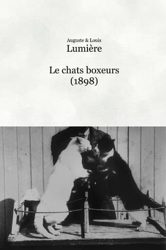 Movie poster for Les chats boxeurs