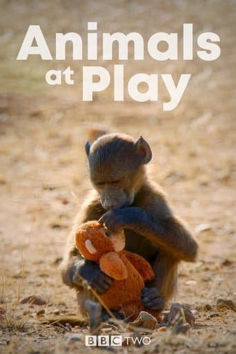 Movie poster for Animals at Play